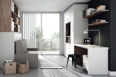 CON UNA CAMA ABATIBLE HORIZONTAL, PODEMOS CREAR, TANTO UN AMBIENTE DE SALÓN , COMO DE DORMITORIO.