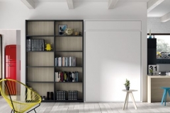 OTRO AMBIENTE DE SALÓN ,DORMITORIO Y DESPACHO, RECORDEMOS QUE LA SOLUCIÓN ESTÁ EN LAS CAMAS VERTICALES