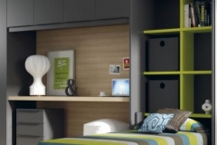 CUANDO ABRIMOS LA CAMA VERTICAL, PODEMOS APRECIAR QUE EN EL INTERIOR TENEMOS UNA LIBRERÍA DE GRAN CAPACIDAD.