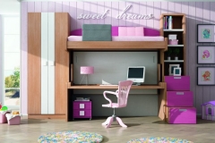 LITERA FIJA CON CAMA ABATIBLE HORIZONTAL CON ESCRITORIO