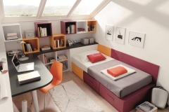 CAMA NIDO CON CAJONES COMBINADO DIFERENTES CAJONES CON SU MESA ESTUDIO