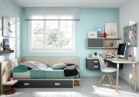 DORMITORIO JUVENIL CON TATAMI CON DIÁFANO Y CAJÓN DE GRAN CAPACIDAD, ARRIMADEROS, MESA ESTUDIO Y ESTANTES
